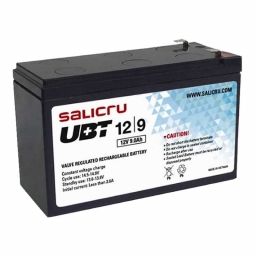 SALICRU 013BS000002